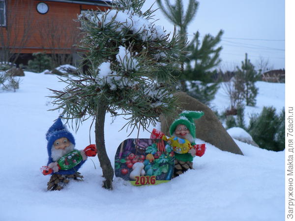 поздравляю