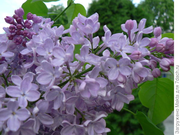 с Днем рождения!