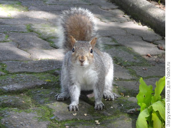 С Днем рождения!