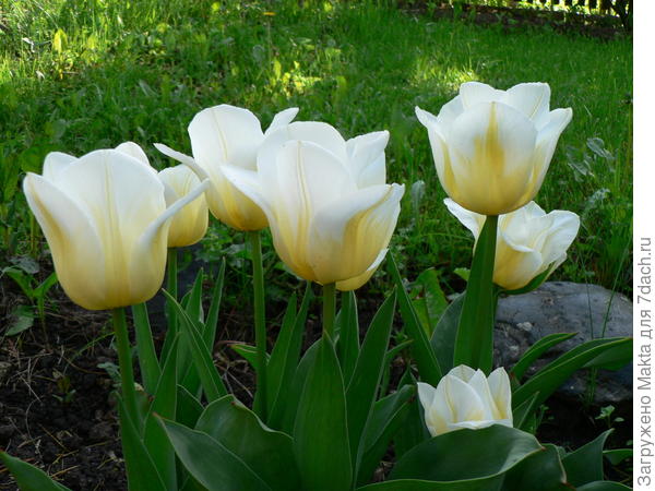 С Днем рождения!