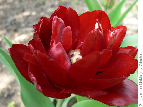 С Днем рождения!!!