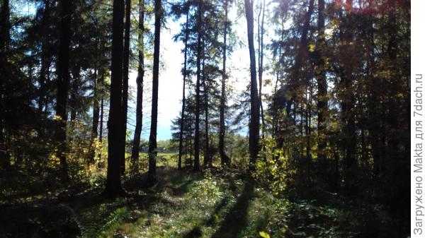 поздравления из Судиславля