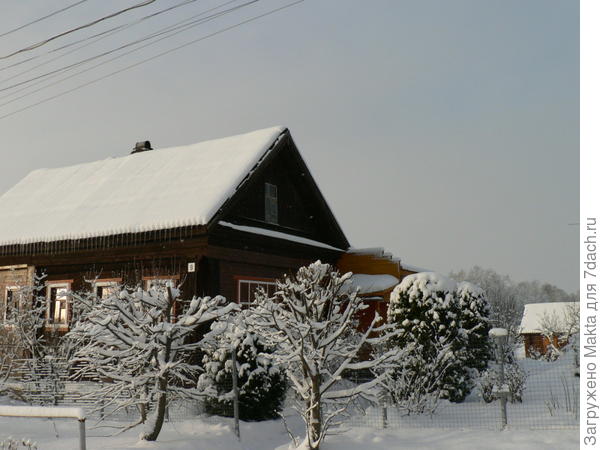 Липки у калитки