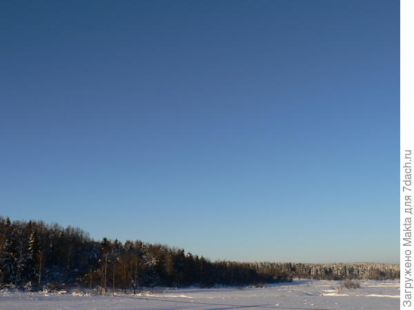 пойма реки