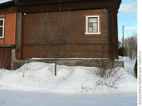 10 февраля 2017. Лох посередине, справа и слева - краснолистные пузыреплодники