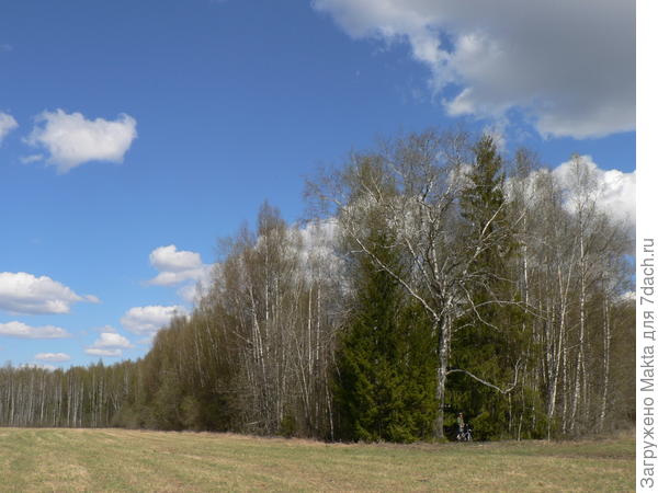 Весна 2016