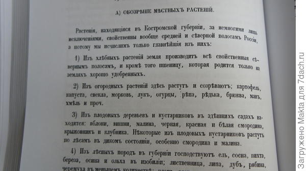 Об огородничестве в Костромской губернии