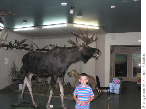 Интересно было нам, но не мальчишке