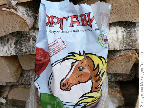Оргавит