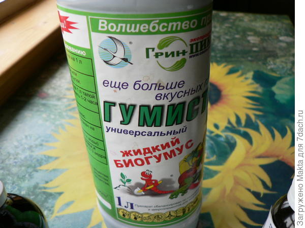 Гумистар