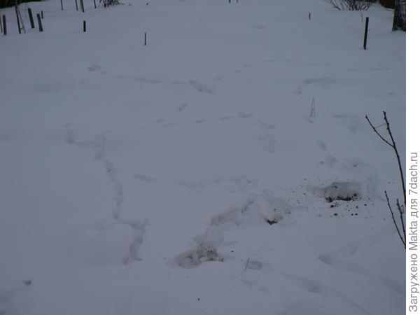 следы борьбы