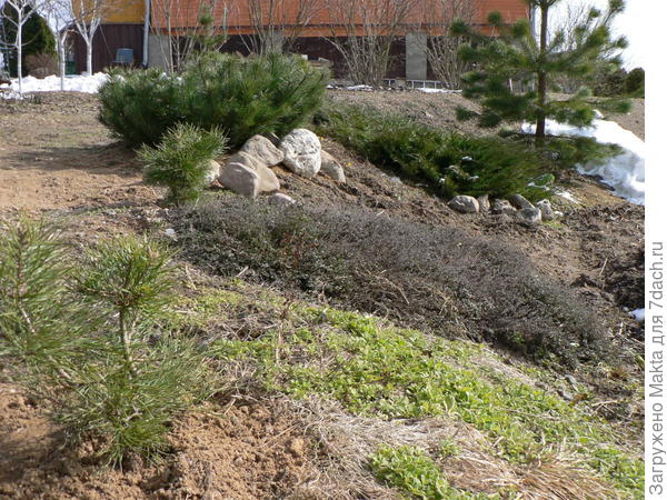 Вот так получилось