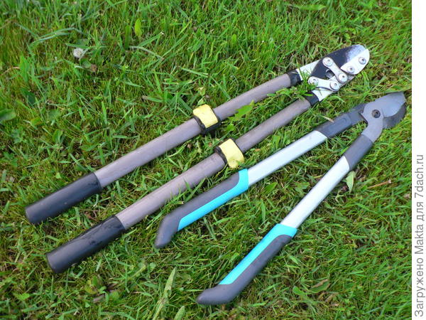 Неизвестный сучкорез и от Гардены