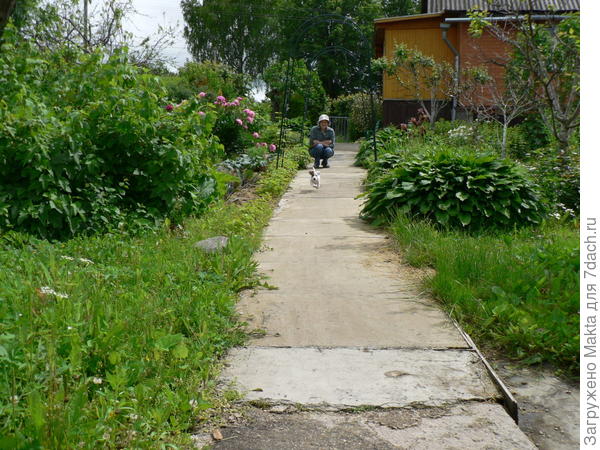 24 дня отсутствия на даче обернулось &amp;quot;джунглями&amp;quot;)) Мульчи много