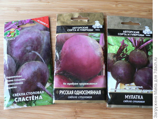 Свёкла