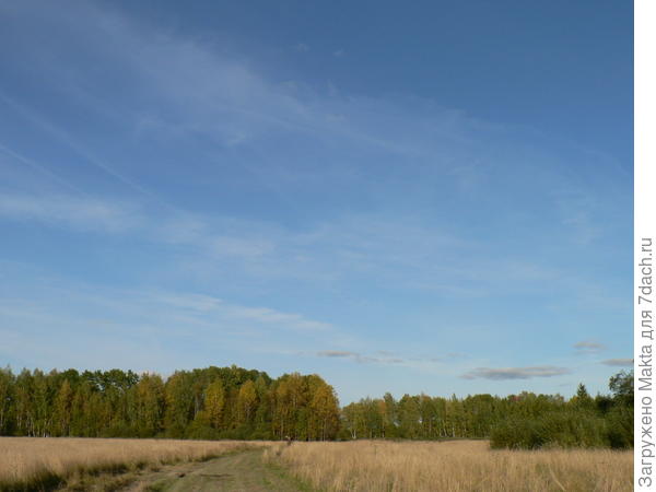 По лугу
