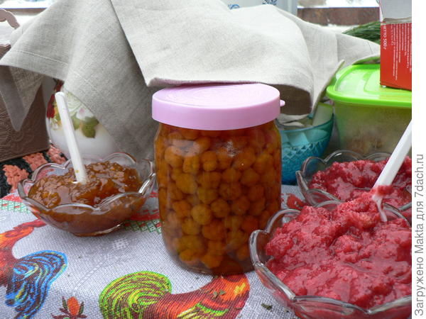 Вот она, морошка! Кто пробовал её, не забудет аромата и вкуса! Нет такой ягоды.