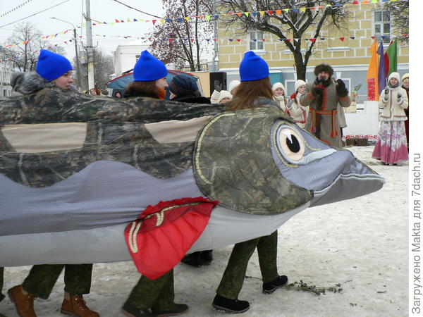 Щука выплывает