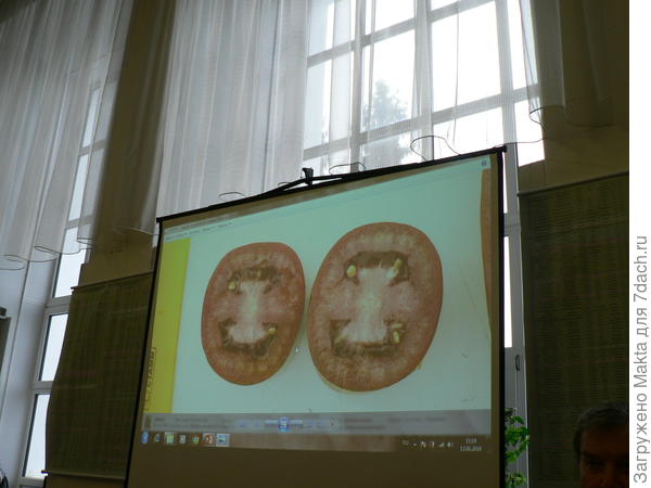 На срезе