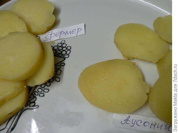Остывший картофель
