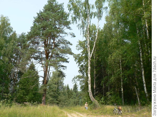 Отдых