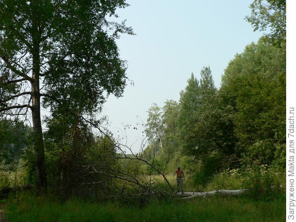 А это работа прошлого лета