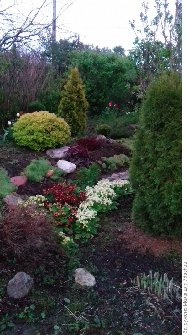 Начало июня