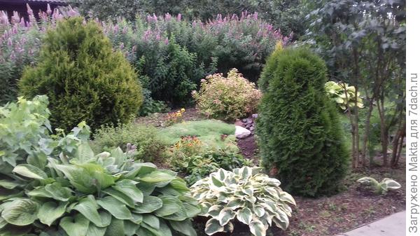 Начало июля