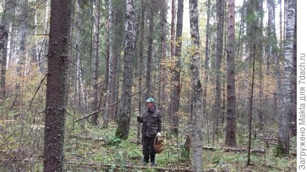 28 сентября 2016 - вот тут мы заблудились