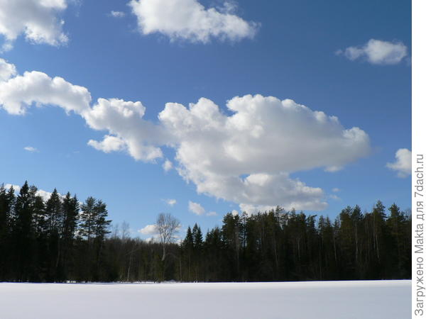 Вырубка чуть левее центра