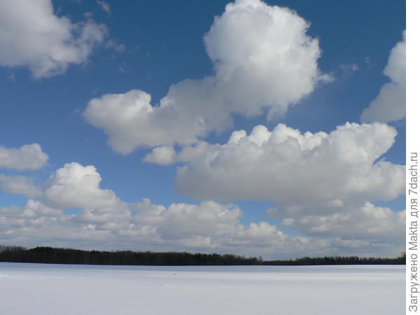 Твёрдый наст на лугу перед лесом