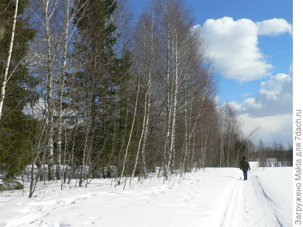 Домой