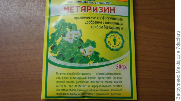 Секреты посадки и выращивания моркови. Защита от морковной мухи ...