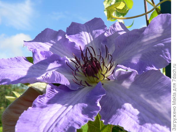 Всё же я тебе написала, сейчас отправлю