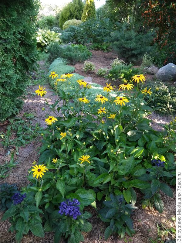 8 кустиков полукругом