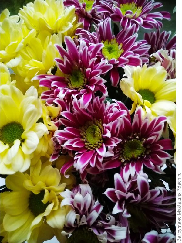 Сентябрьский букет ко Дню рожления