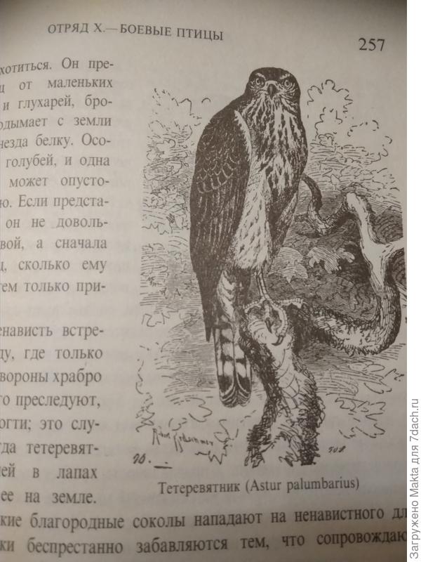 Портрет нашего