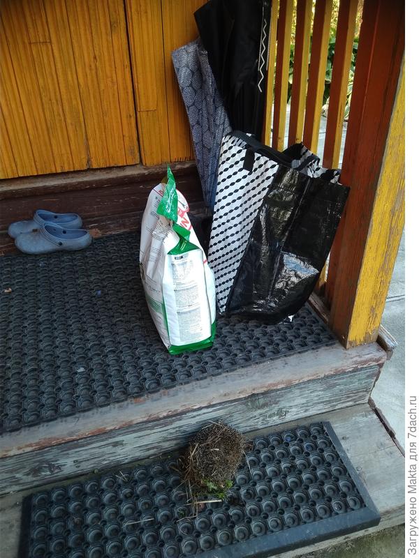 Затащила на ступень