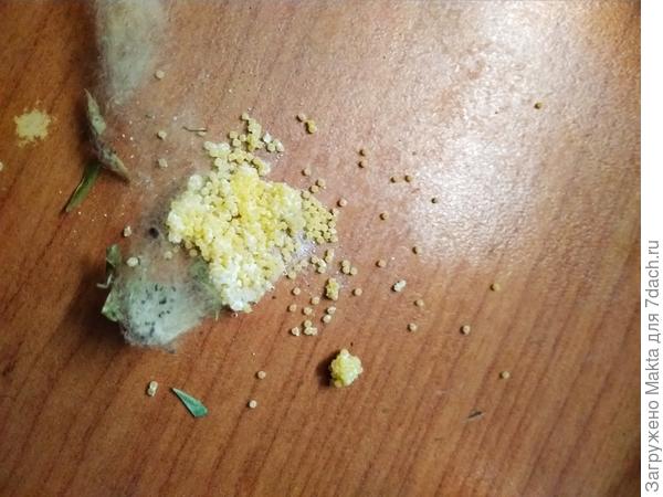 "Шарик" рассыпался