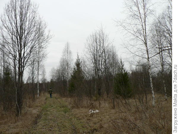 Дорога в деревню