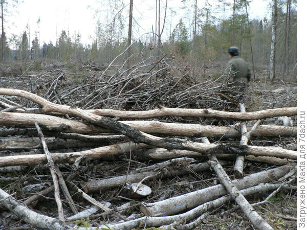 Всё там же