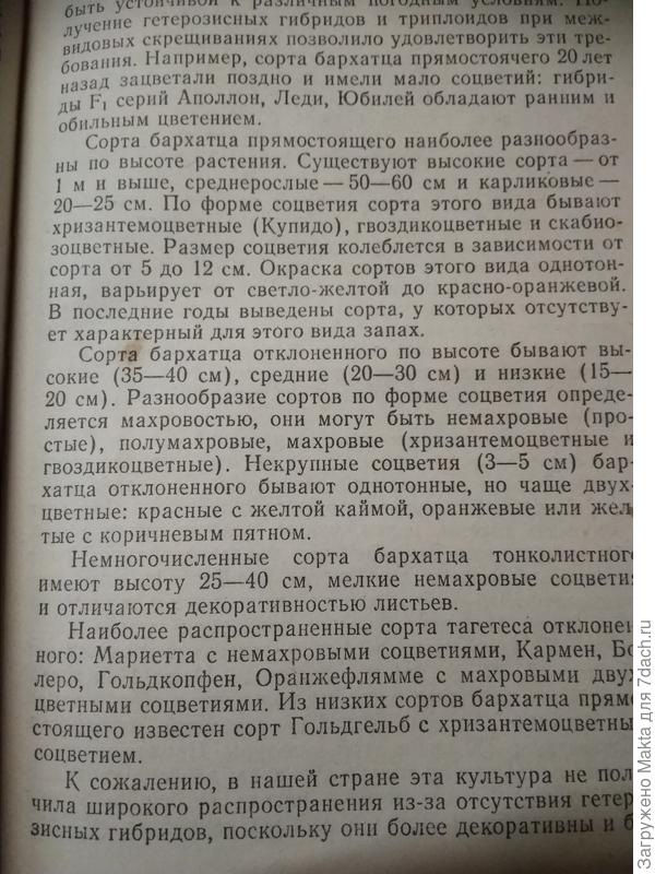 Были у нас тонколистные