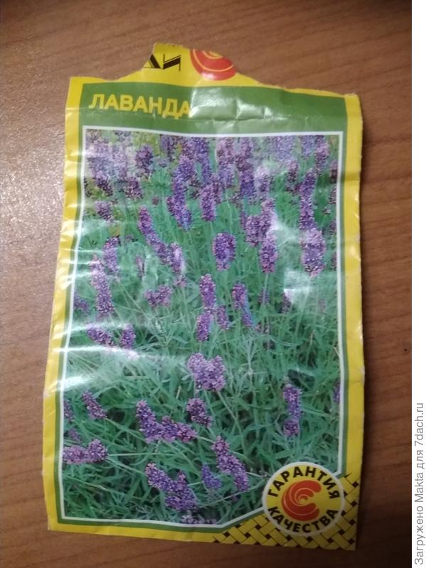 Старые семена