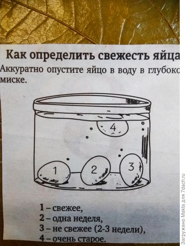 Всё, что плавает, несвежее