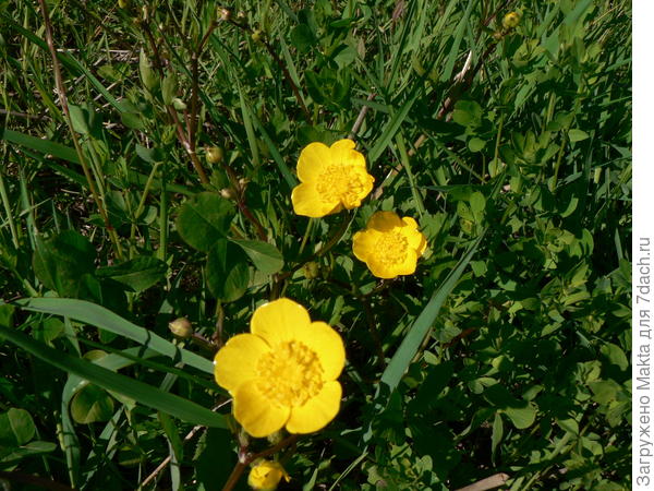 Итогда же появляются ... ?