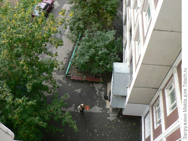Вам подарят букет