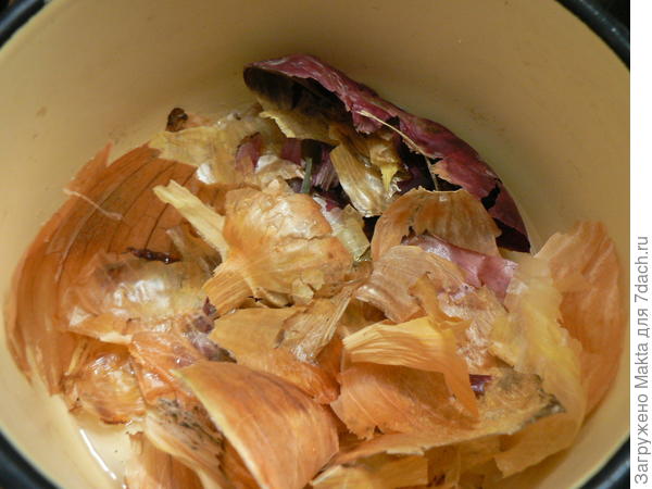 луковая шелуха