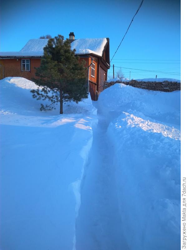 Пока февраль... Как поэт сказал: &amp;quot;Дуют ветры в феврале...&amp;quot;