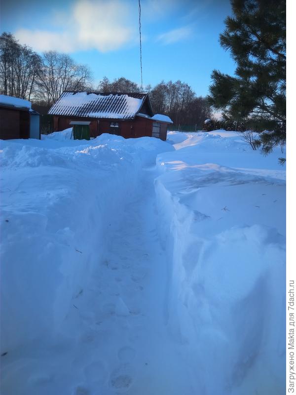 Стежки-дорожки
