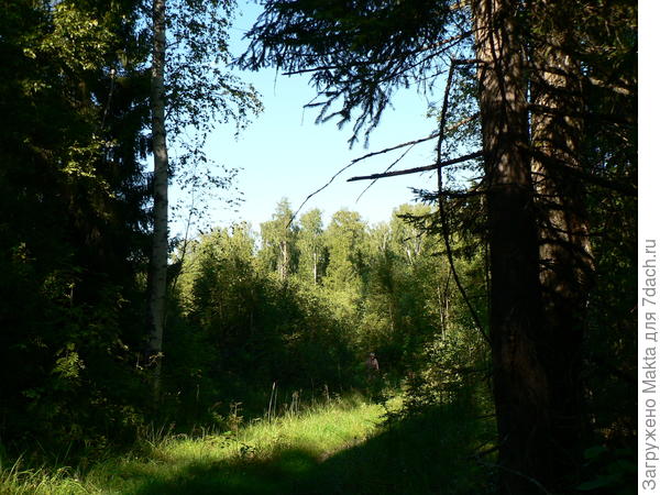 Муж - для сравнения высоты